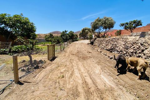 Landejendom i Telde, Gran Canaria, Telde - € 850.000 | Ref: 2026 - foto 22